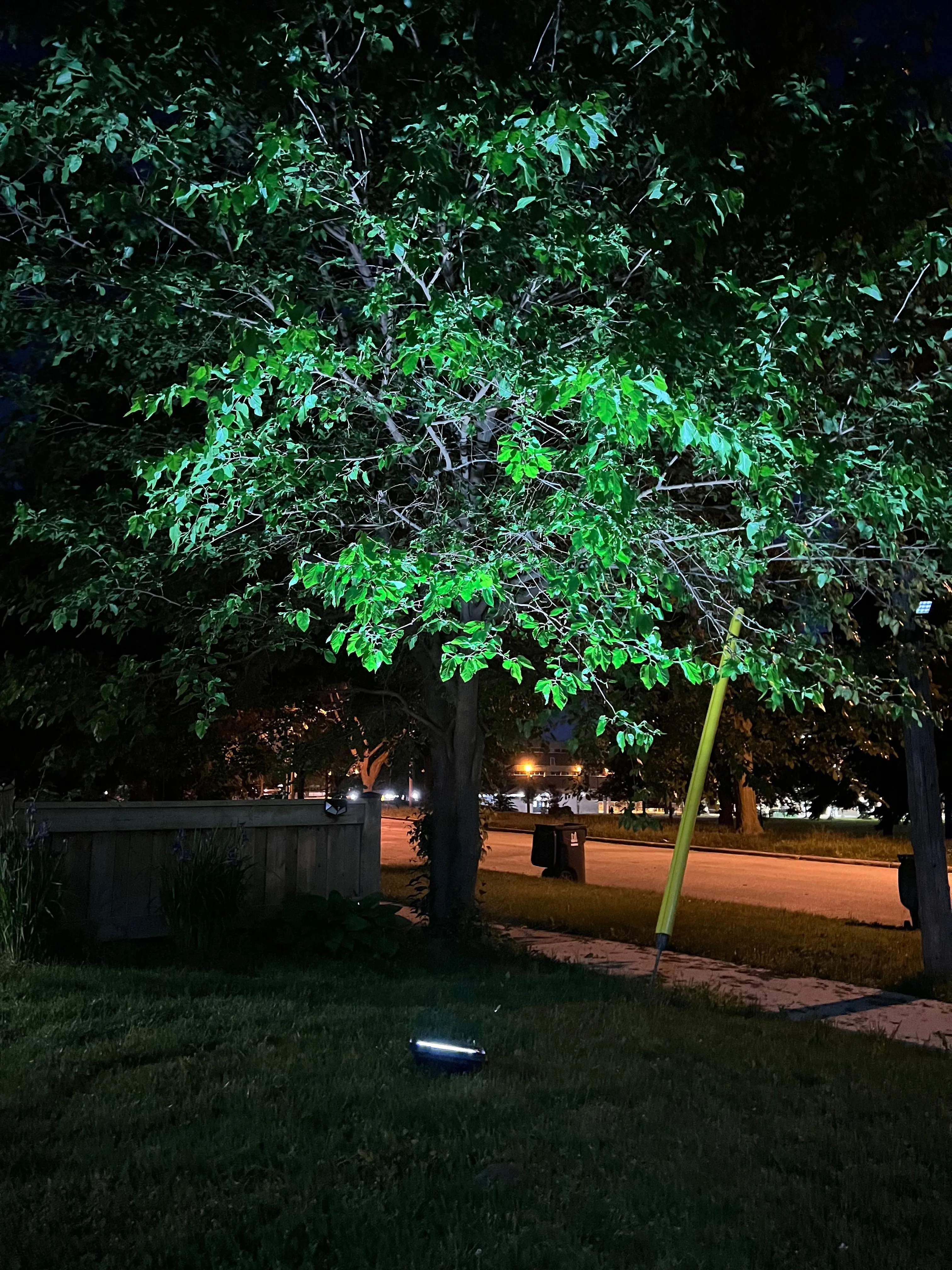 BigM Solar Bright Flood Lights – 100W, 200W & 300W for Constant Lighting